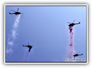 Blue Eagles_1